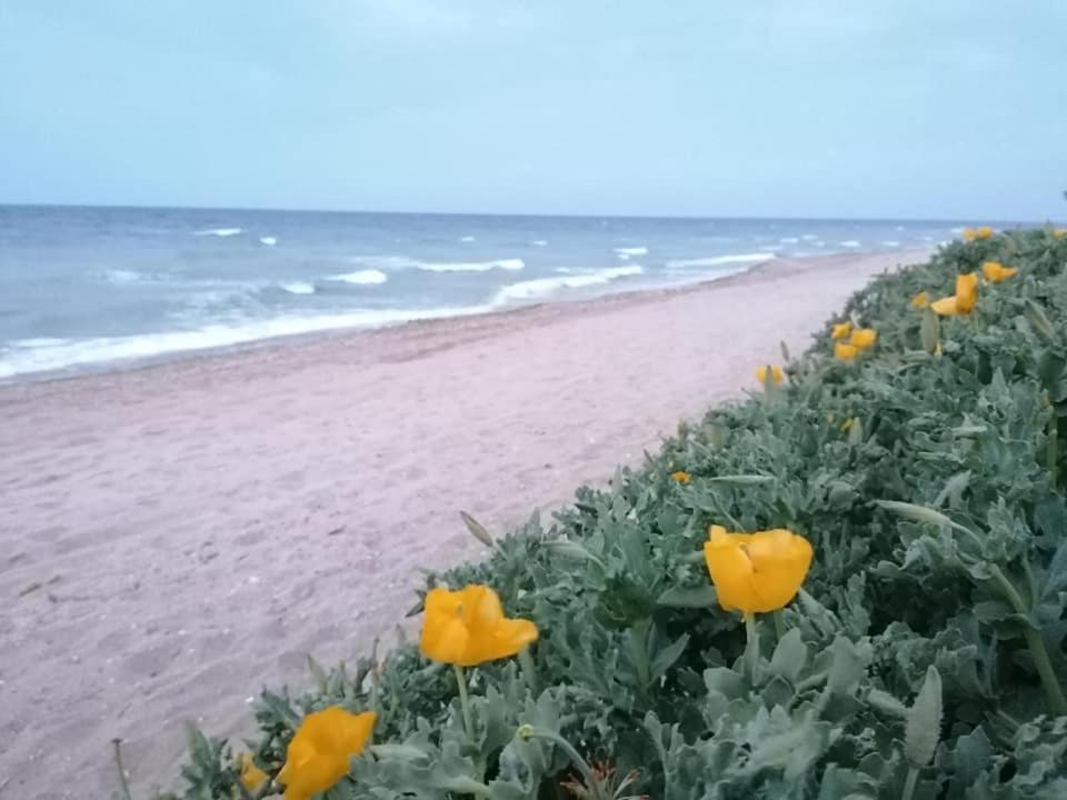 La Doi Pasi De Mare Hotel Вама Веке Екстериор снимка